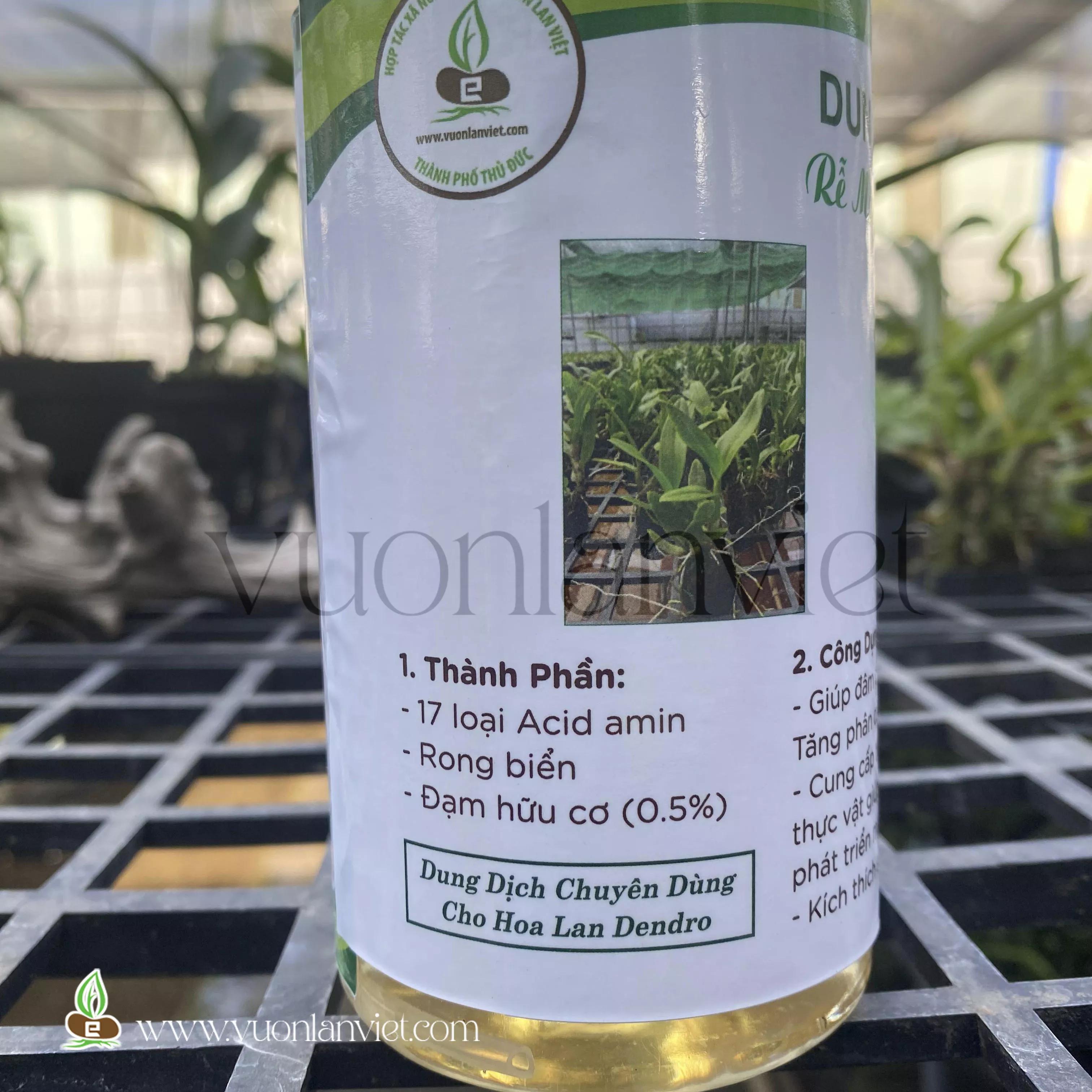 Dinh dưỡng và phân bón vô cơ cho cây hoa lan Dendrobium