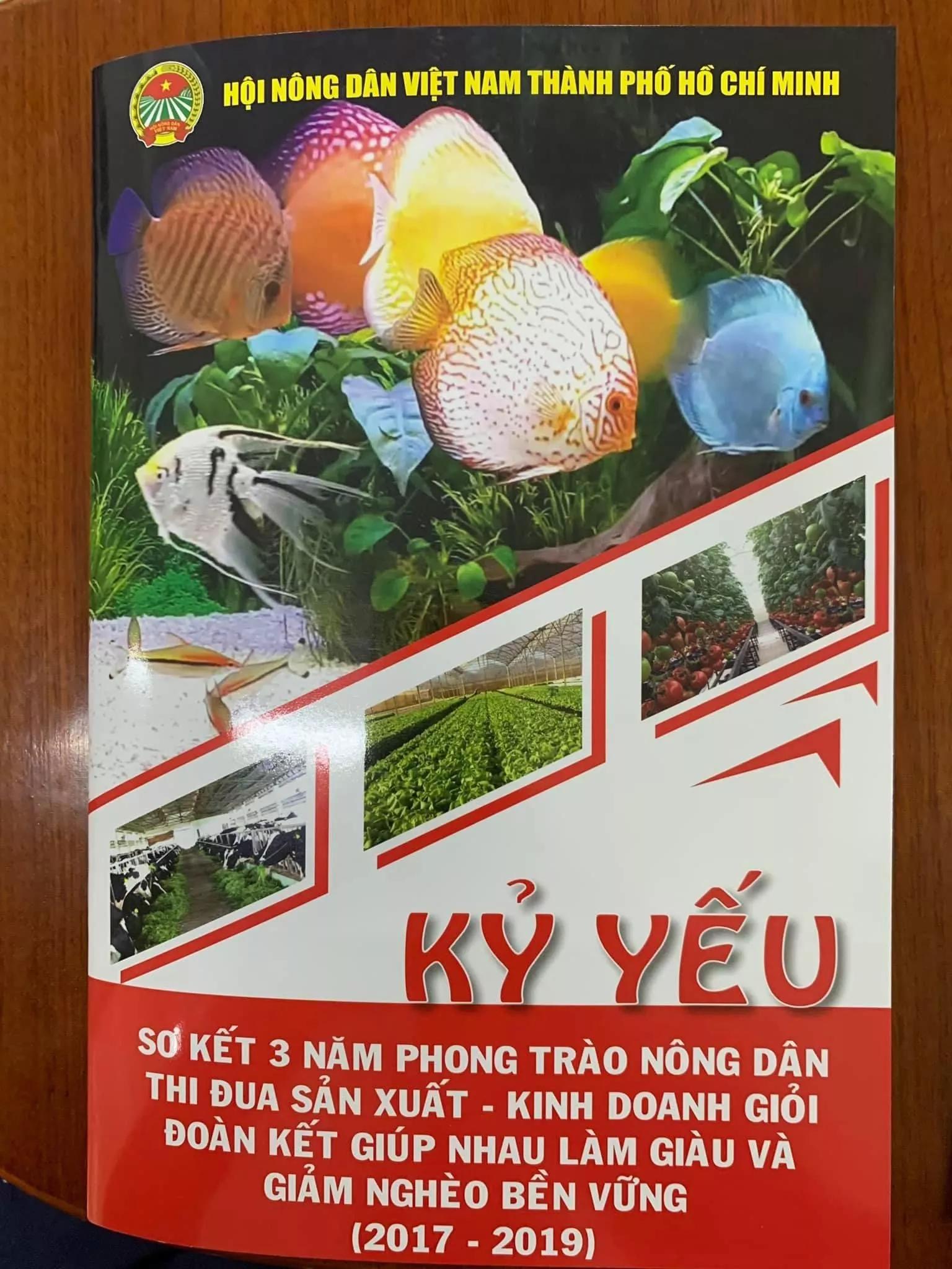 Lorem Ipsum