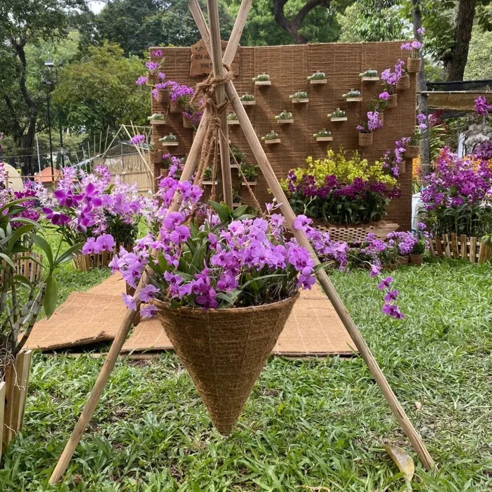 Không gian hoa lan thiết kế