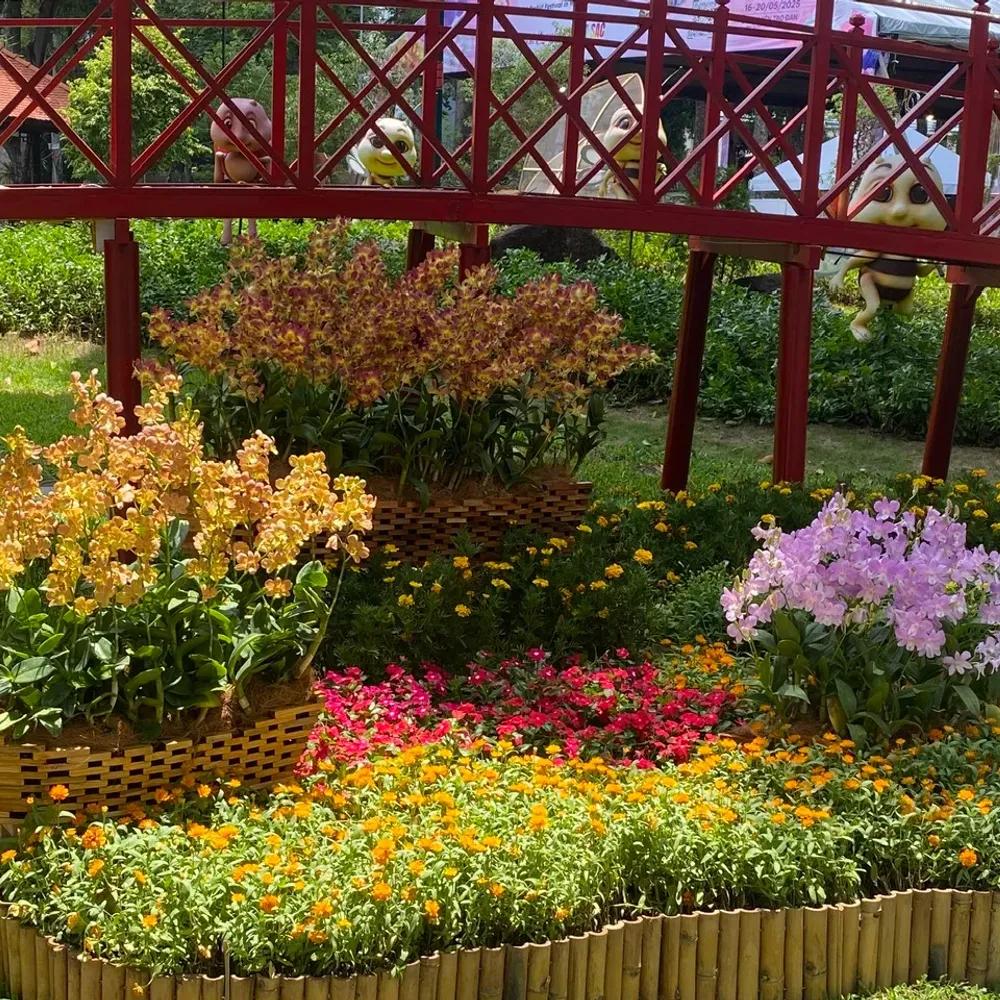 Không gian trang trí Thuyền hoa lan