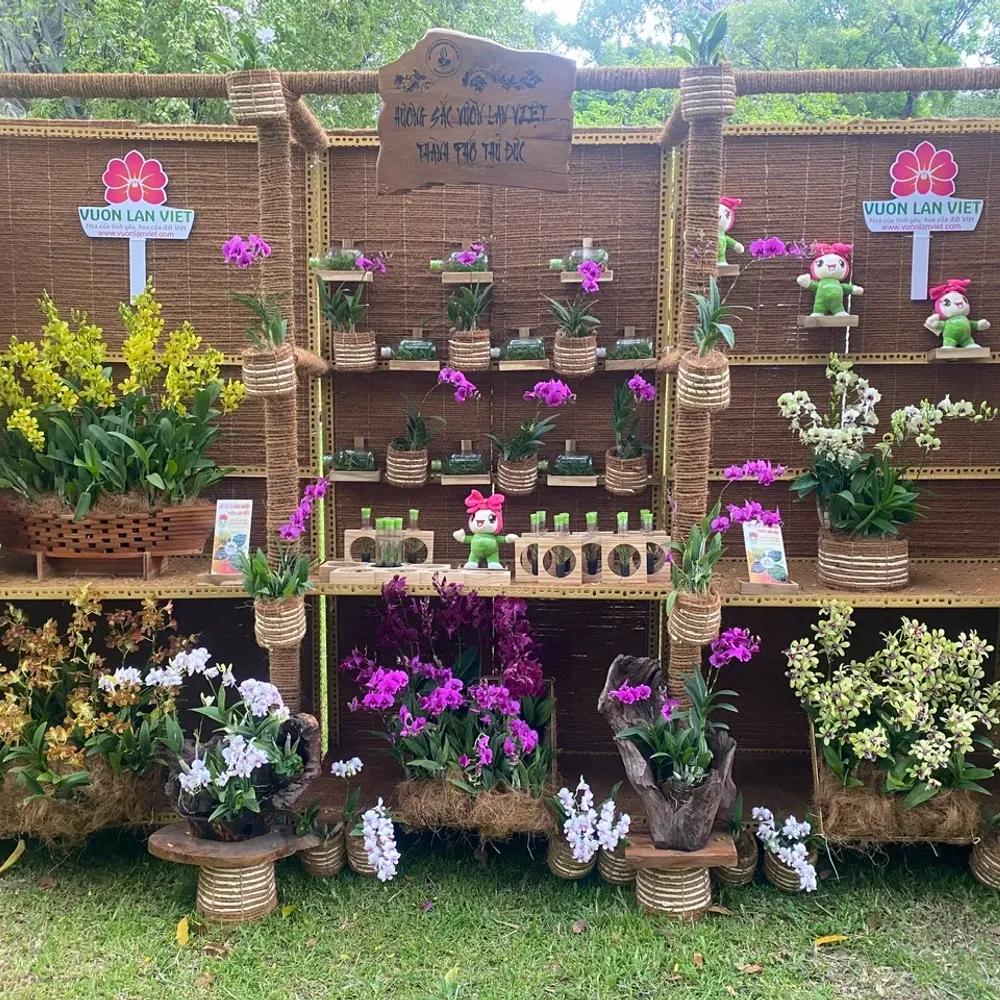 Không gian trưng bày