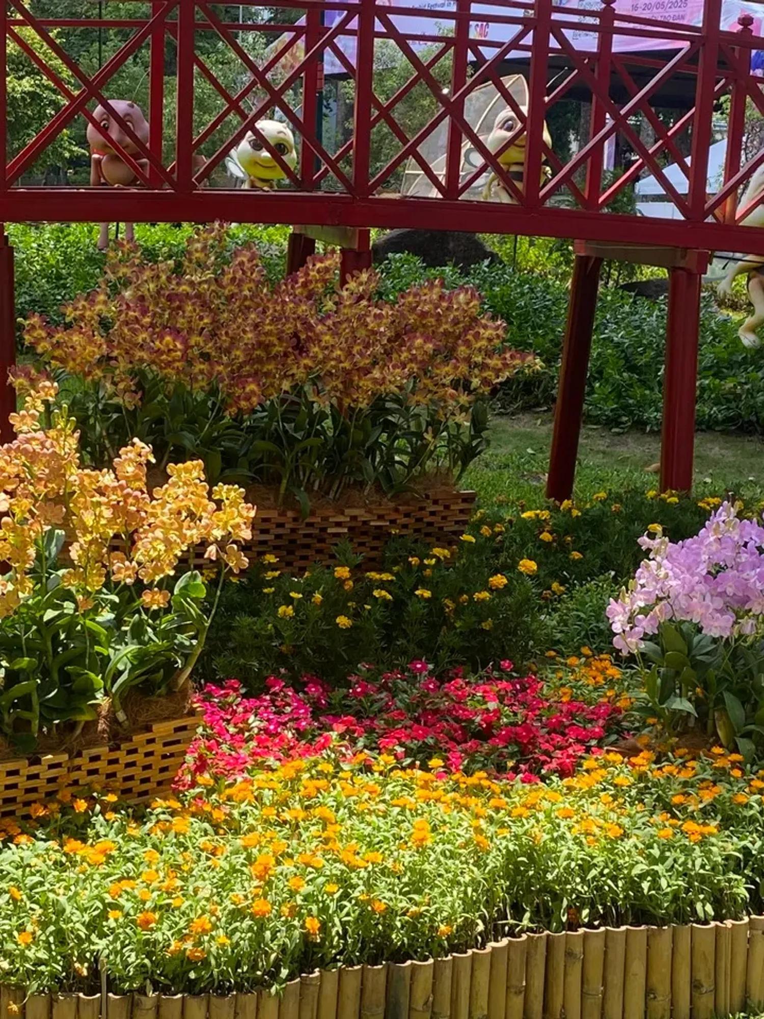 Không gian trang trí Thuyền hoa lan