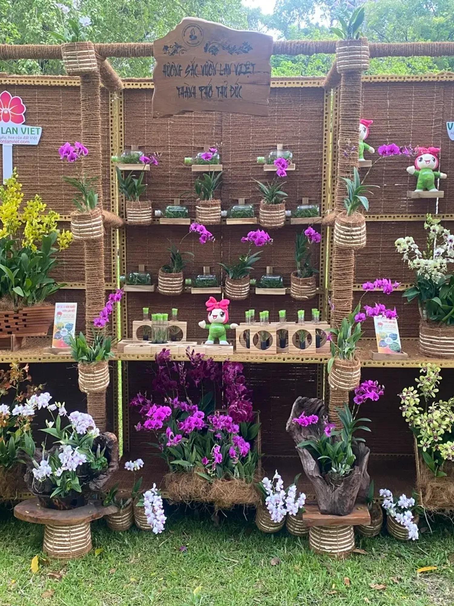 Không gian trưng bày