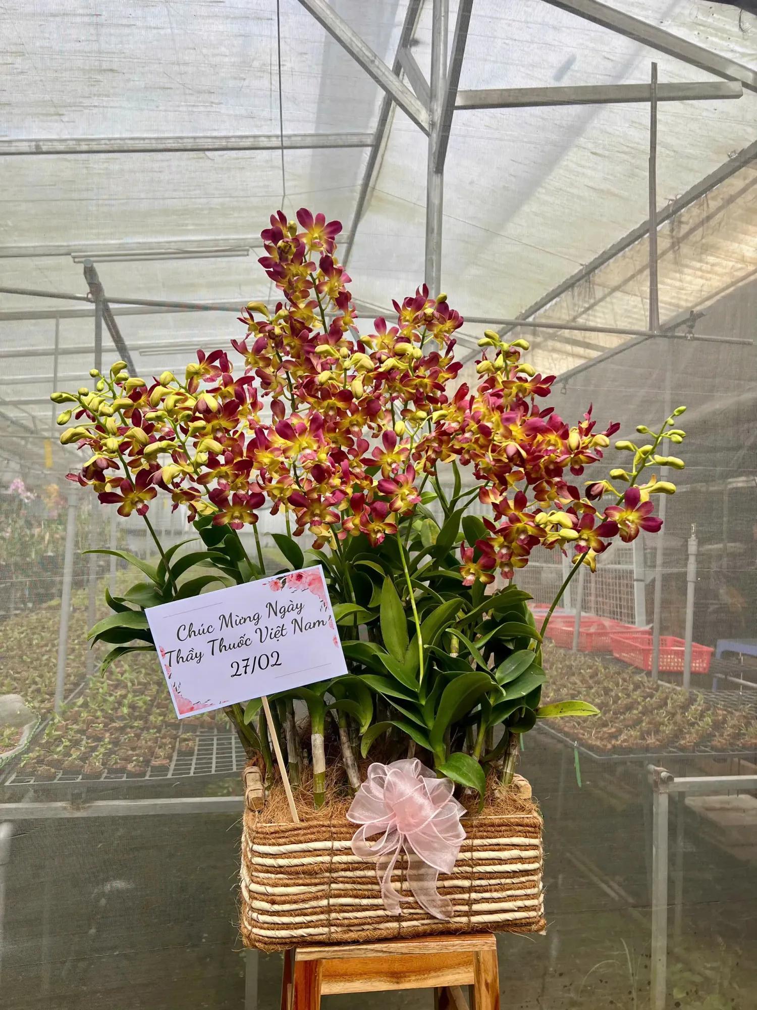 Giỏ hoa lan Dendro Phú Quý Phát Lộc