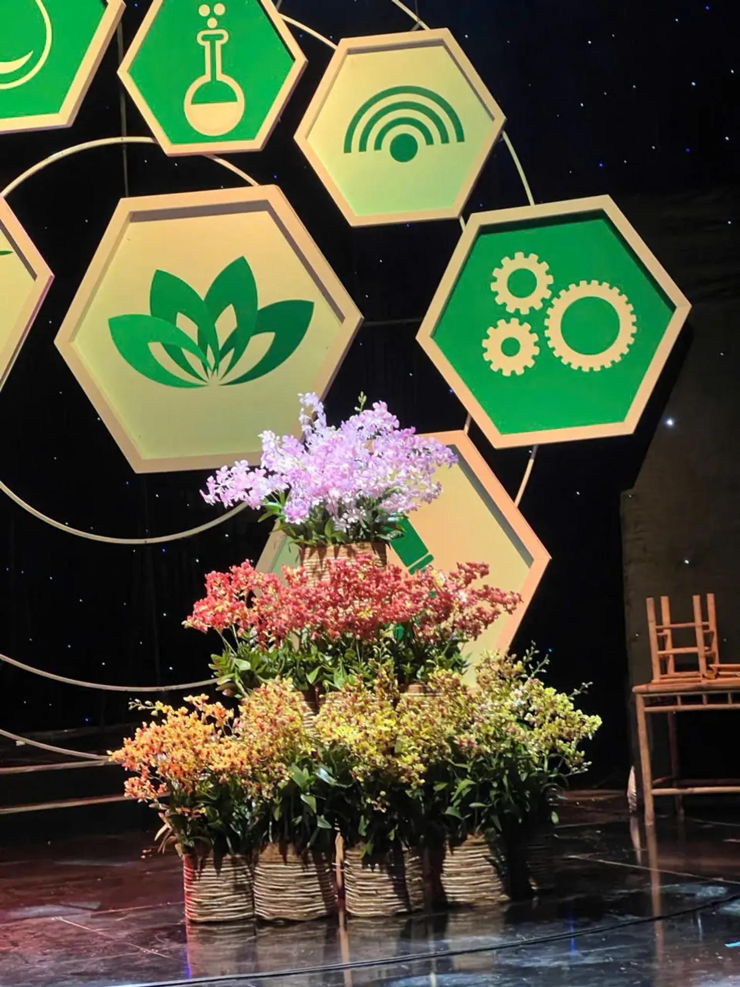 Trang trí sân khấu