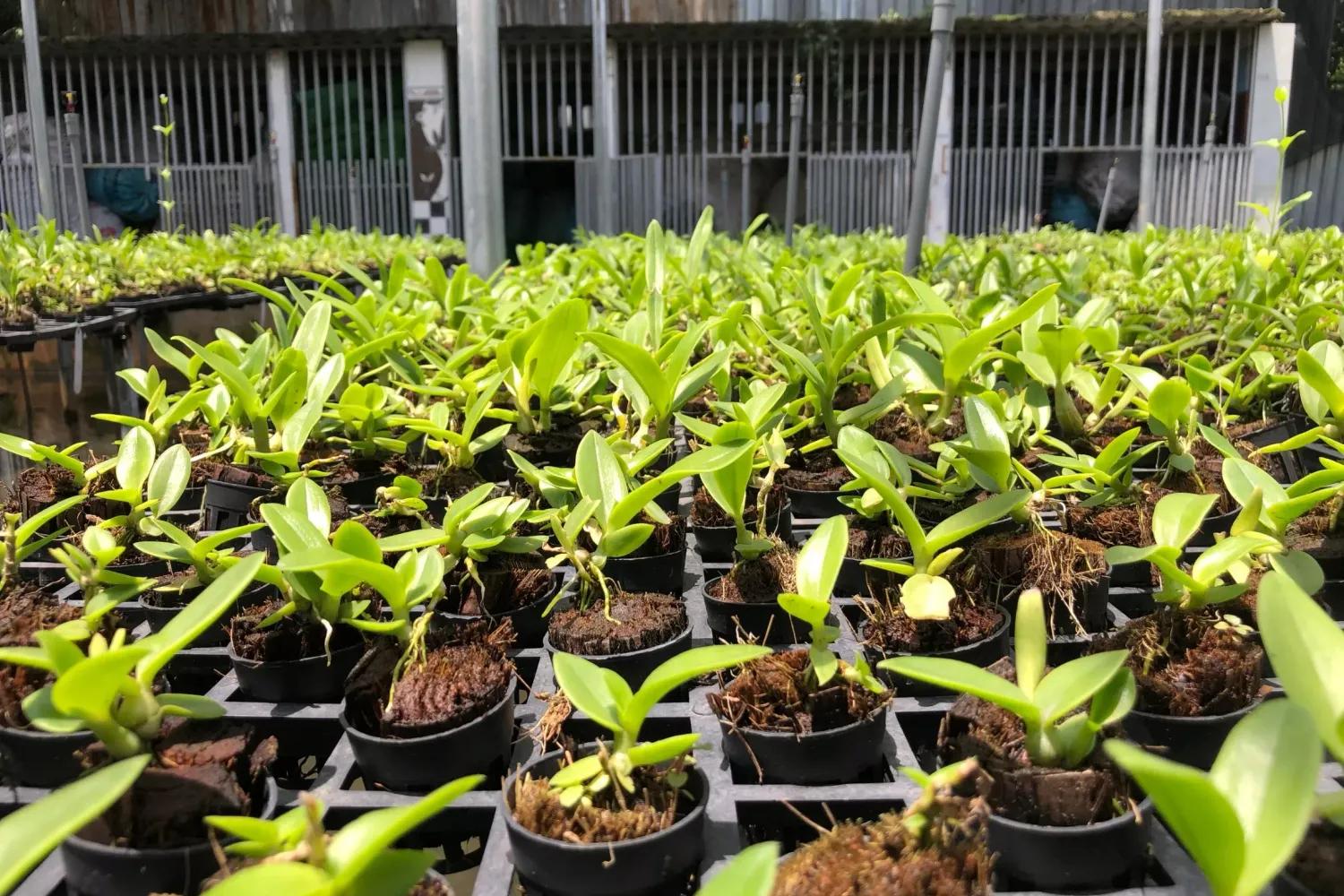 CHƯƠNG TRÌNH “NÔNG NGHIỆP HIỆN ĐẠI, NÔNG THÔN VĂN MINH” Số 6, tháng 04 năm 2023
