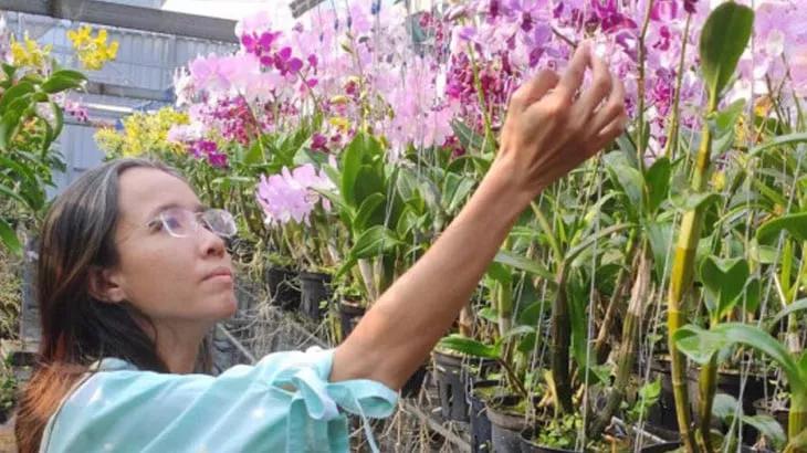 HTX Vườn Lan Việt với ước mơ đưa hoa lan Việt Nam ra thị trường quốc tế